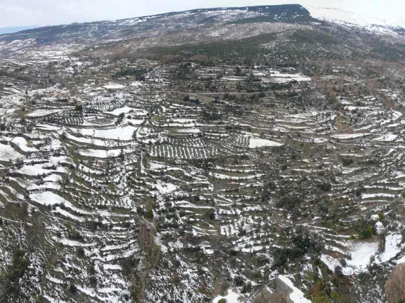 Paratas de cultivo en la Alpujarra