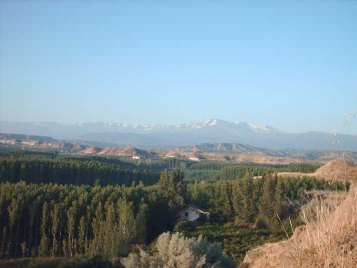 Panoramica de la comarca con Sierra Nevada al fondo