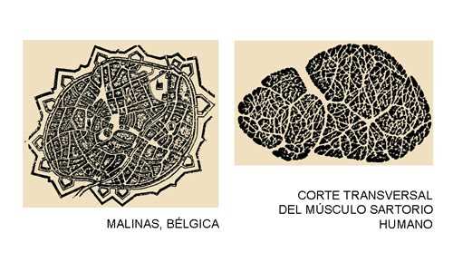 Imagen del Libro de Eliel Saarinen "La Ciudad Su Crecimiento, Su Declinación y Su Futuro. FUENTE: elblogdeFarina.com