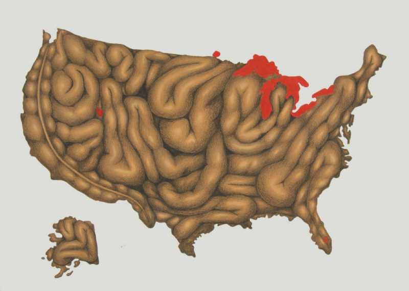 Mapa del “dolor” de Estados Unidos. Fuente: rosaliabanet.blogspot.com