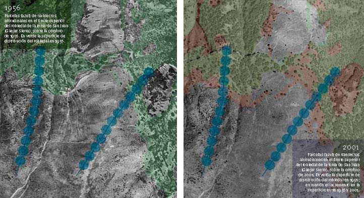   FUENTE: Observatorio de Cambio Global de Sierra Nevada. Metodología y seguimiento. 2012